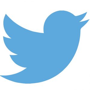 Twitter logo grande